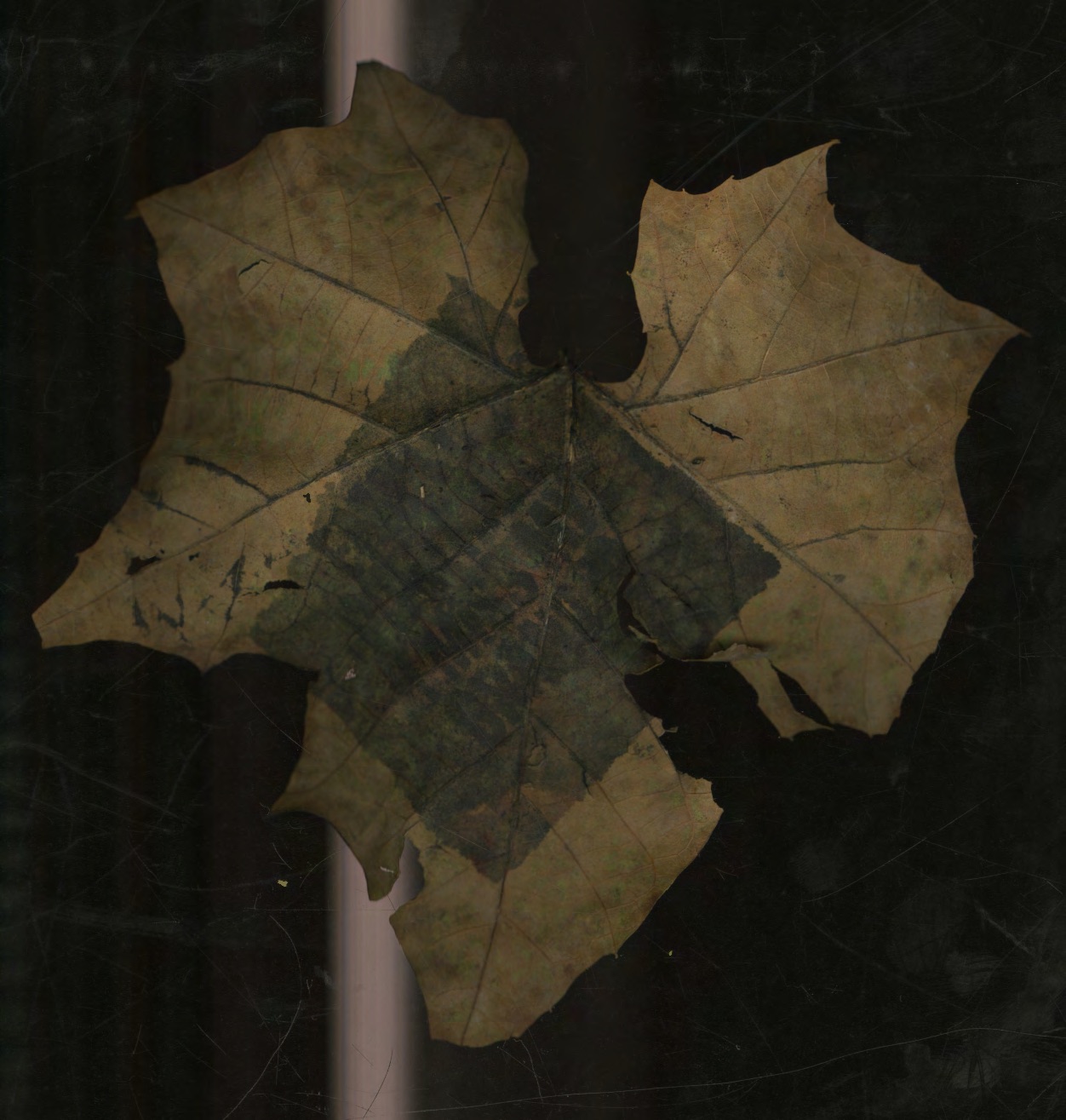 Eternal Decay scan page 18